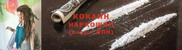 хмурый Верея