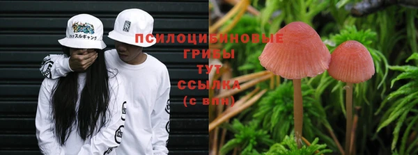 соль ск Верхний Тагил