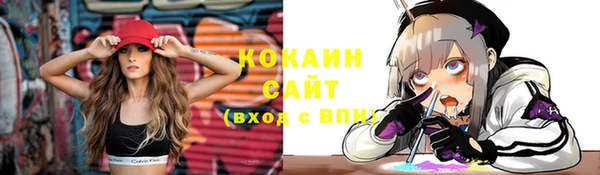 соль ск Верхний Тагил