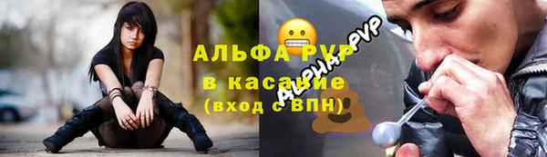 хмурый Верея