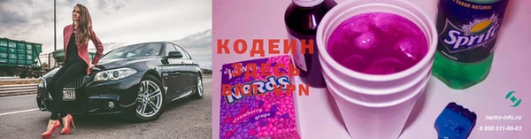 хмурый Верея