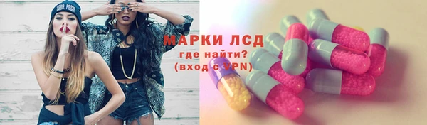 хмурый Верея