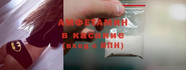 хмурый Верея