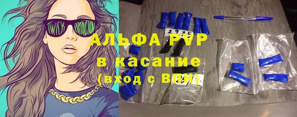 хмурый Верея
