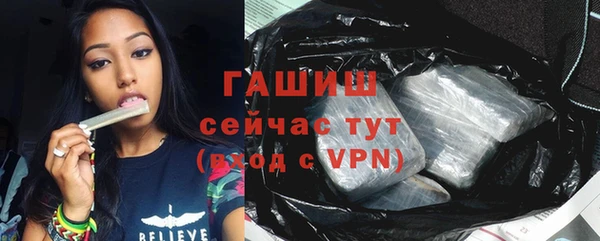 хмурый Верея