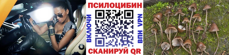 кракен рабочий сайт  Белозерск  Галлюциногенные грибы Psilocybine cubensis  дарнет шоп 